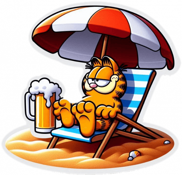 Garfield En La Playa 02