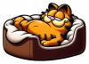 Garfield Durmiendo 03