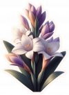 Flor De Nardos 03