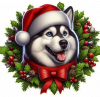 Husky Siberiano De Navidad 03
