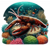 Langosta Real (Palinurus Regius) 04
