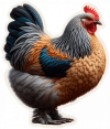 Gallinas