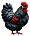 Gallinas