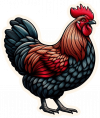 Gallinas