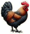 Gallinas