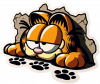 Garfield