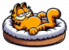 Garfield