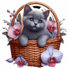 Gato En Cesta De Regalos