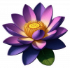 Flor De Loto