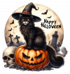 Gato En Halloween