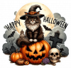 Gato En Halloween