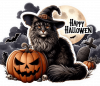 Gato En Halloween