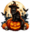 Gato En Halloween