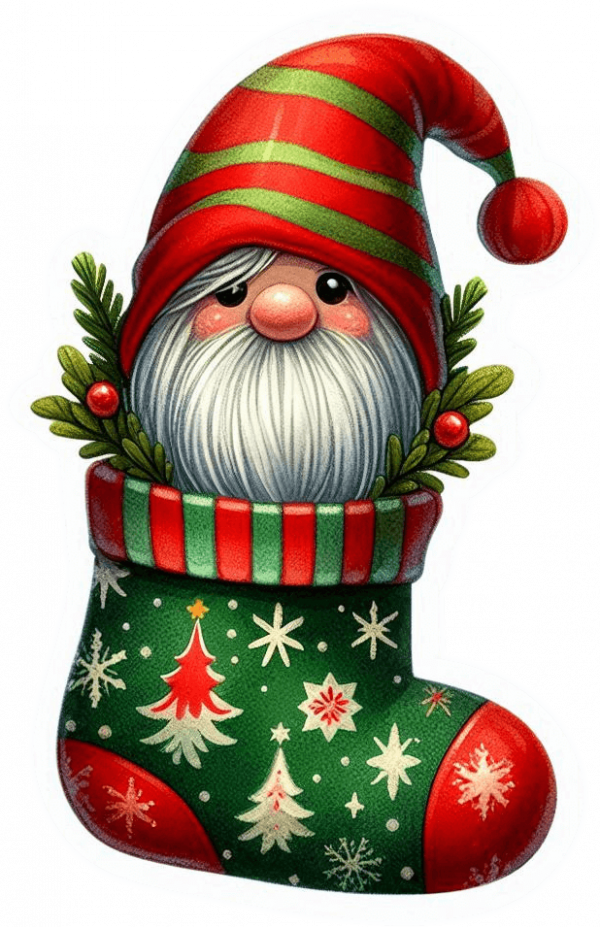 Gnomo Y Media De Navidad