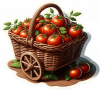 Tomates En Carreta 07