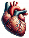 Corazon Humano02
