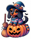 Dachshund Y La Calabaza 01