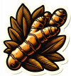 Especie Curcuma (2)