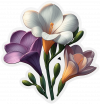 Flores De Freesia (4)
