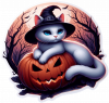 Gato Blanco En Calabaza 01