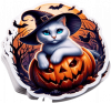 Gato Blanco En Calabaza 06