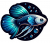 Guppy 06