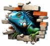 Hueco En Pared Y Iguana 04