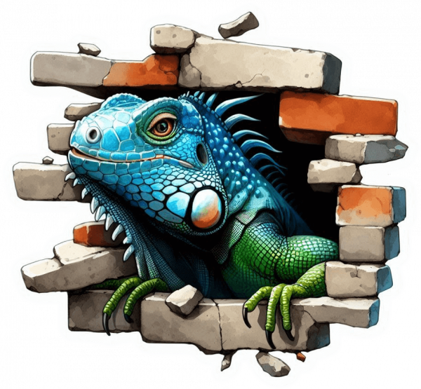 Hueco En Pared Y Iguana 04
