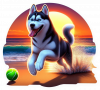 Husky Siberiano Jugando En Playa 02