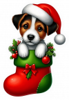 Jack En Media De Navidad 01