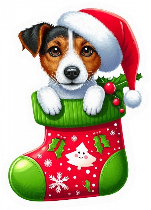 Jack En Media De Navidad 02