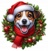 Jack Russel De Corona Navidad 04