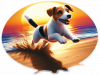 Jack Russel Jugando En Playa 03