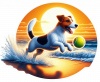 Jack Russel Jugando En Playa 04