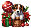 Jack Russel Y Feliz Navidad 02
