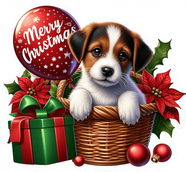 Jack Russel Y Feliz Navidad 02