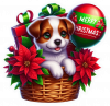 Jack Russel Y Feliz Navidad 04