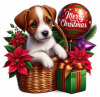 Jack Russel Y Feliz Navidad 05