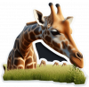 Jirafa02