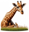 Jirafa03