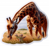 Jirafa06