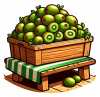 Kiwi 01