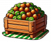 Kiwi 02