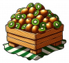 Kiwi 04