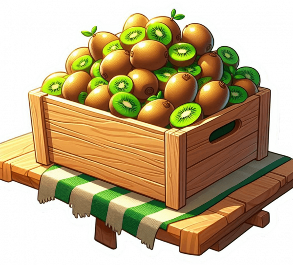 Kiwi 02