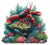 Langosta Del Cabo (Jasus Lalandii) 03