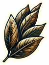 Laurel 01
