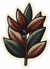Laurel 03