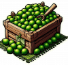 Lima 02