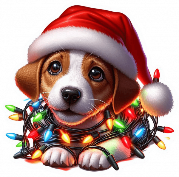 Navidad Enredada Jack Russell 11